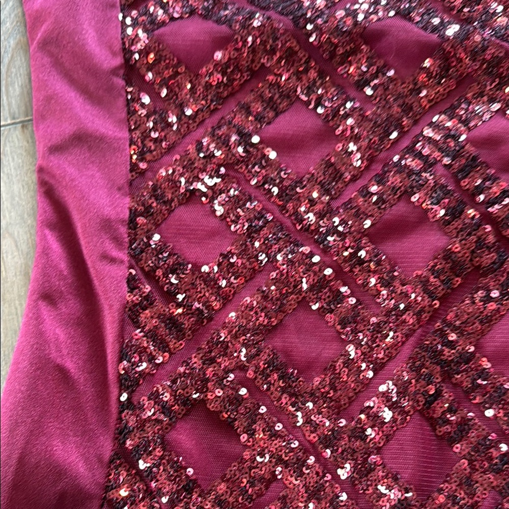 Set of 2 Dance Costumes- Burgundy Sequin Bodysuits - Picture 8 of 10
